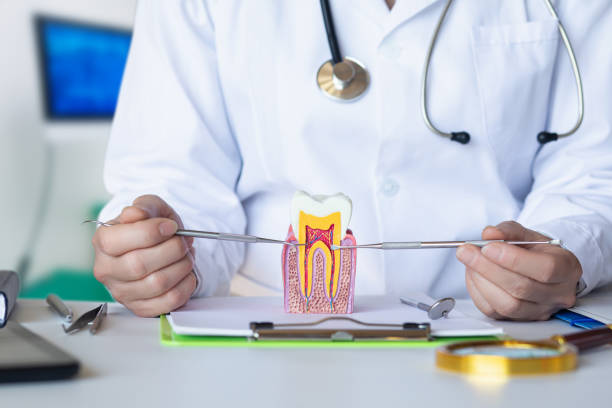 Best Same-Day Emergency Dentist in Bent Creek, NC